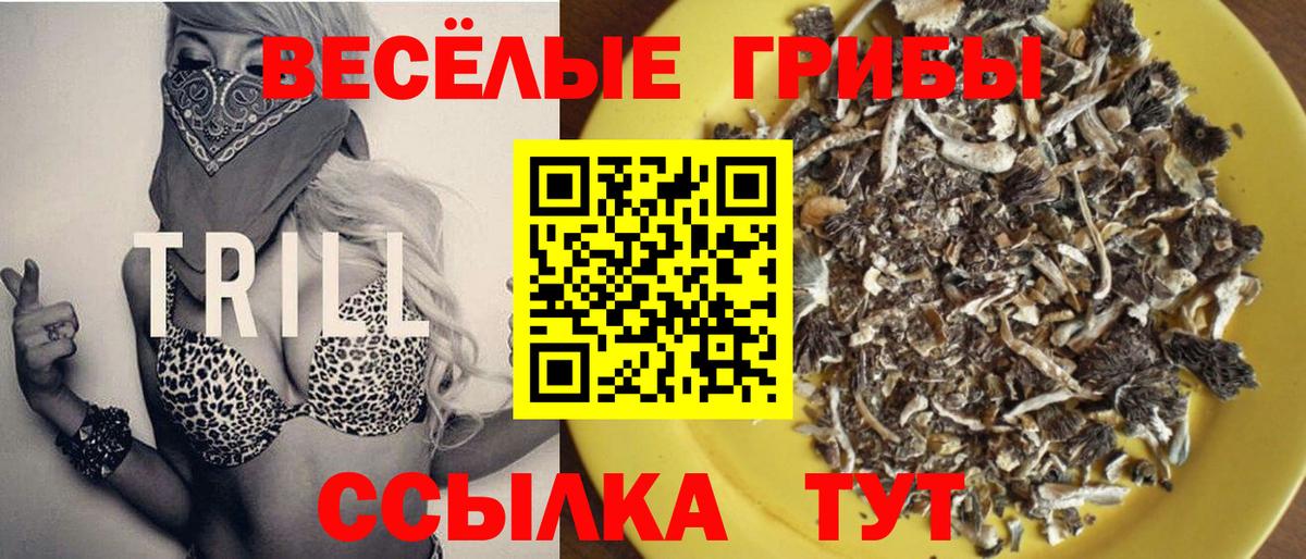 Прокопьевск  Галлюциногенные грибы Psilocybine cubensis  наркота  Вход с VPN 