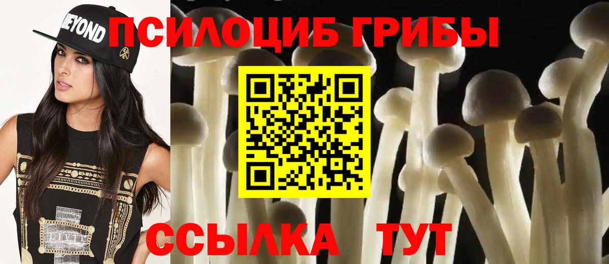 Псилоцибиновые грибы Psilocybe Прокопьевск